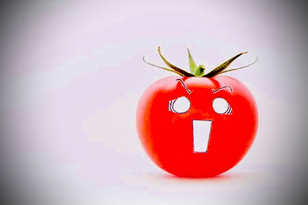 虫を食べるトマト？
